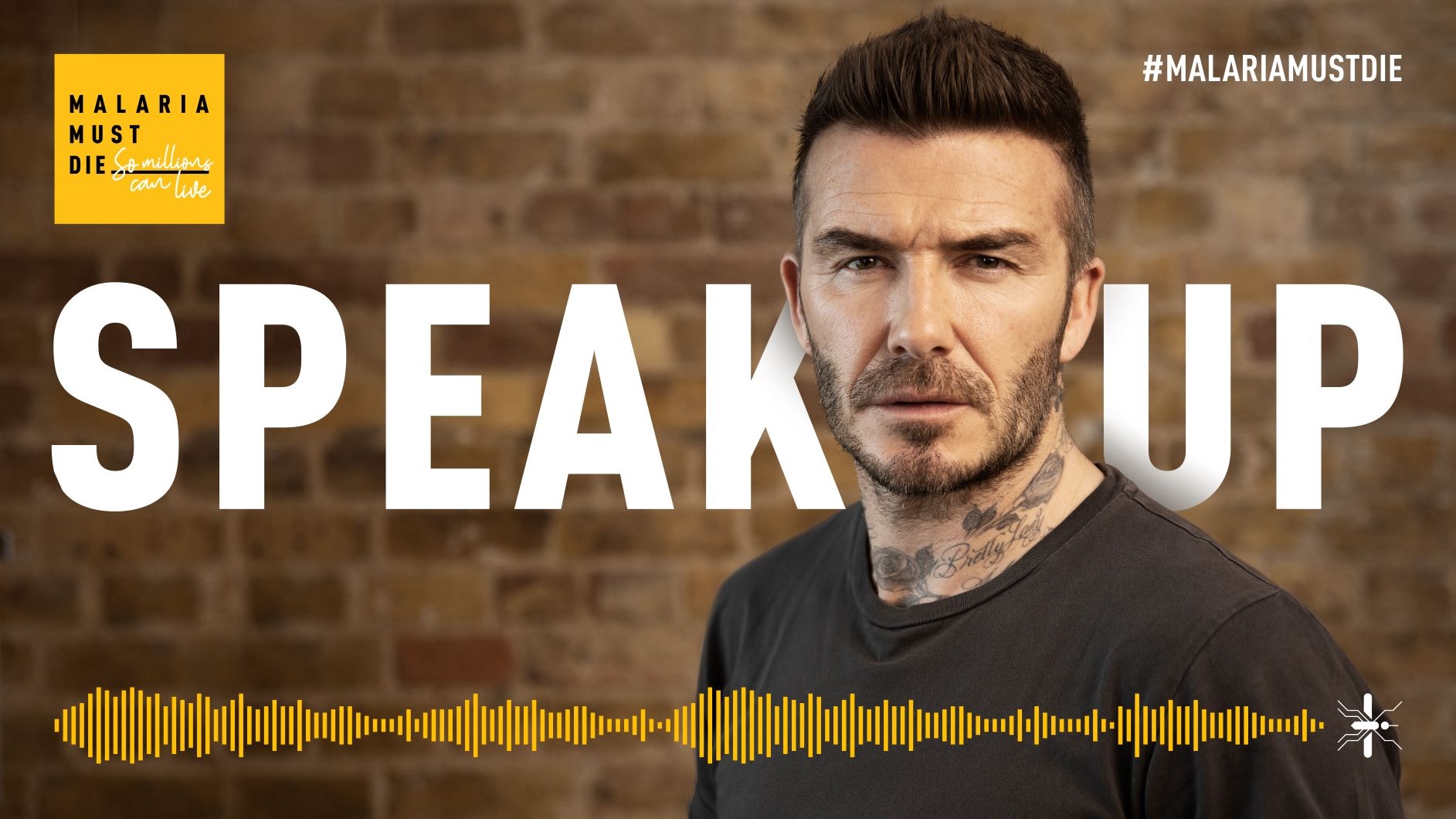 David Beckham