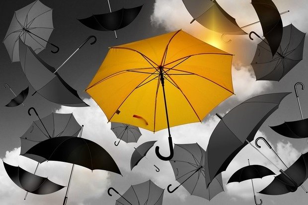 CMS vs. DXP – Kampf der Giganten