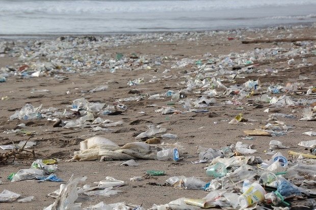 Einwegplastik: HDE fordert ganzheitliches Konzept