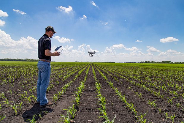 Internet of Things in der Landwirtschaft