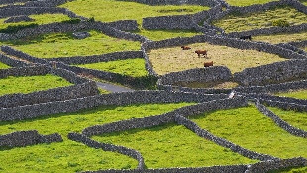 Walled Gardens mit begrenzter Reichweite